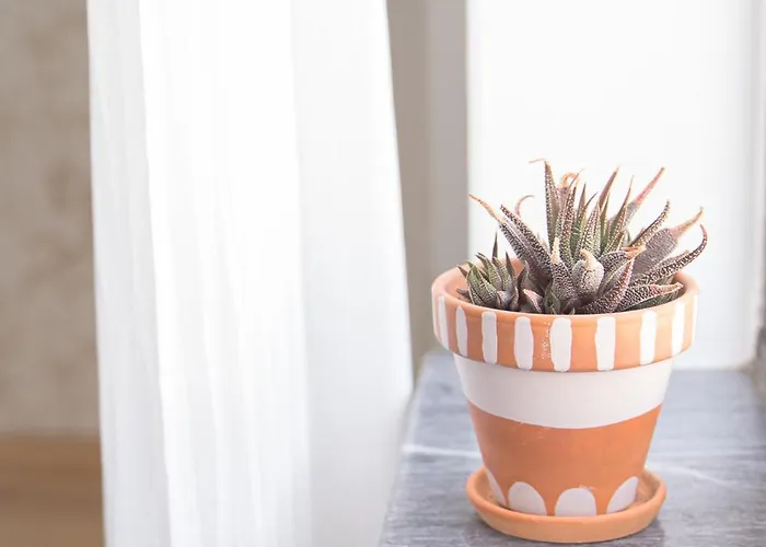 住宿加早餐酒店 Supertubos House Peniche 阿通奎亚·达·巴利亚