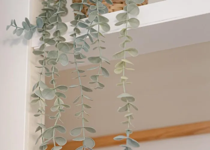 Supertubos House Peniche Bed & Breakfast